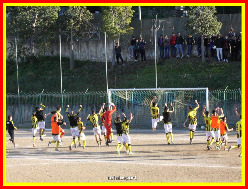 190310 Cephal_Torrenov 220_tn.jpg